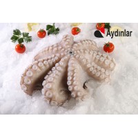 Ahtapot 1/2 Kg Flower