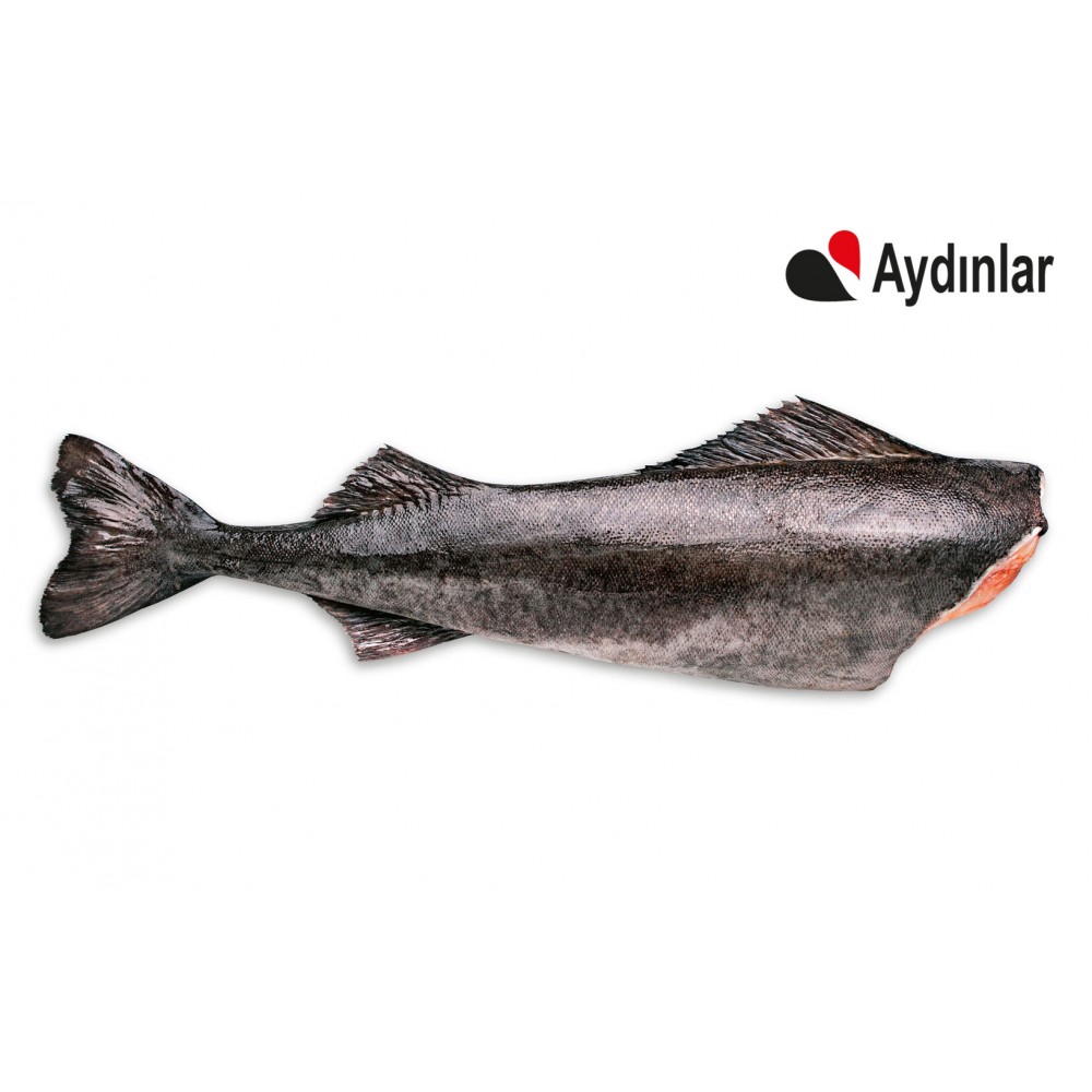 Cod Balığı / Kg