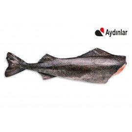 Cod Balığı / Kg