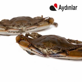 Thailand Soft Shell Crab / Large