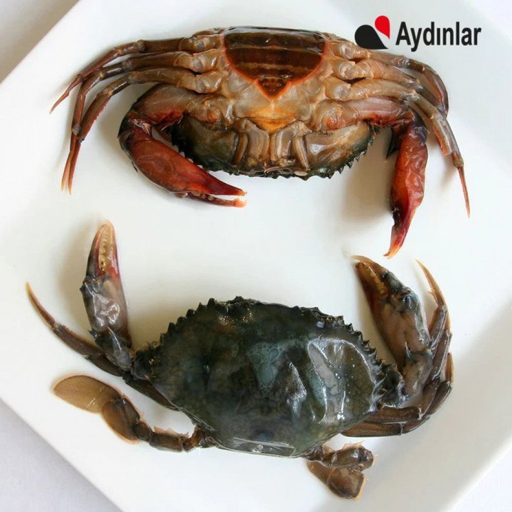 Thailand Soft Shell Crab / Large